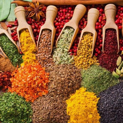 Spice Farm Tour